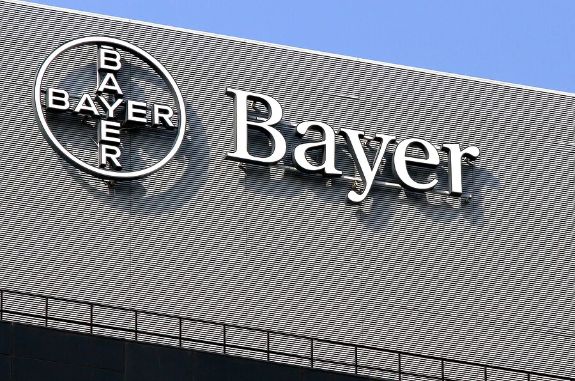 Bayer Konzern