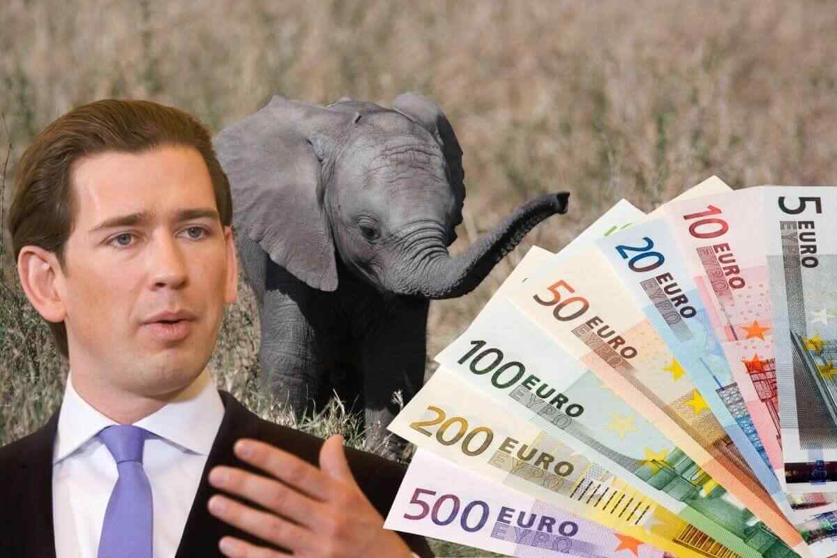 Kanzleramt gab 3,2 Millionen Euro für Babyelefant-Werbung aus Kanzleramt gab 3,2 Millionen Euro für Babyelefant-Werbung aus