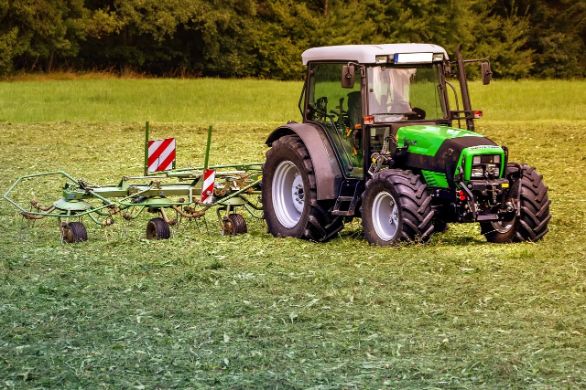 Immer mehr bio-produzierende Bauern Immer mehr bio-produzierende Bauern